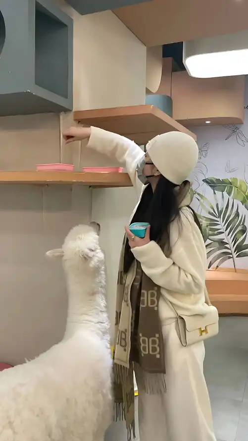 亚洲欧美另类成人综合图片精选：精品国自拍自在线与无码网站推荐